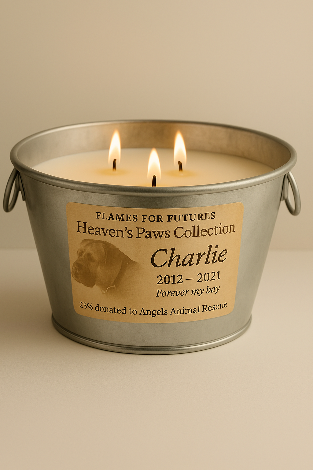 Heaven’s Paws (pre-sale)