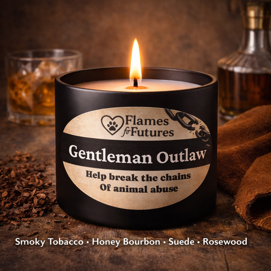 Gentleman Outlaw