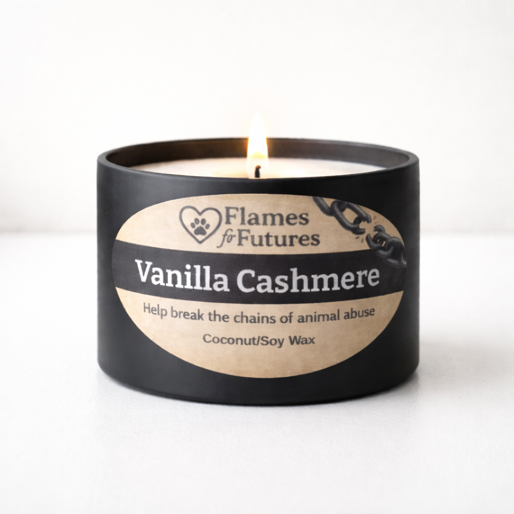 Vanilla Cashmere