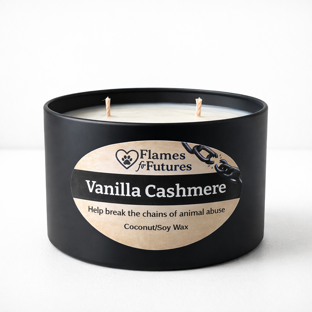 Vanilla Cashmere