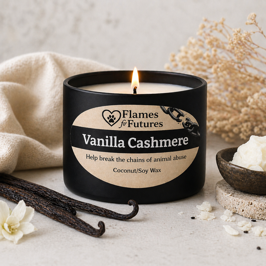 Vanilla Cashmere